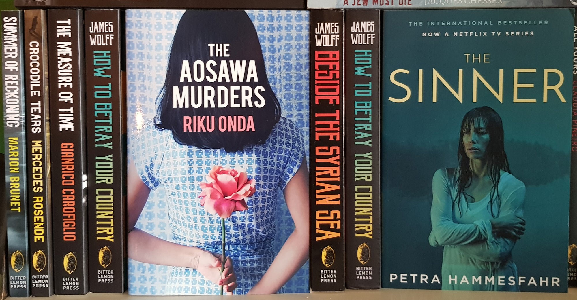 Psychological Thrillers New Books